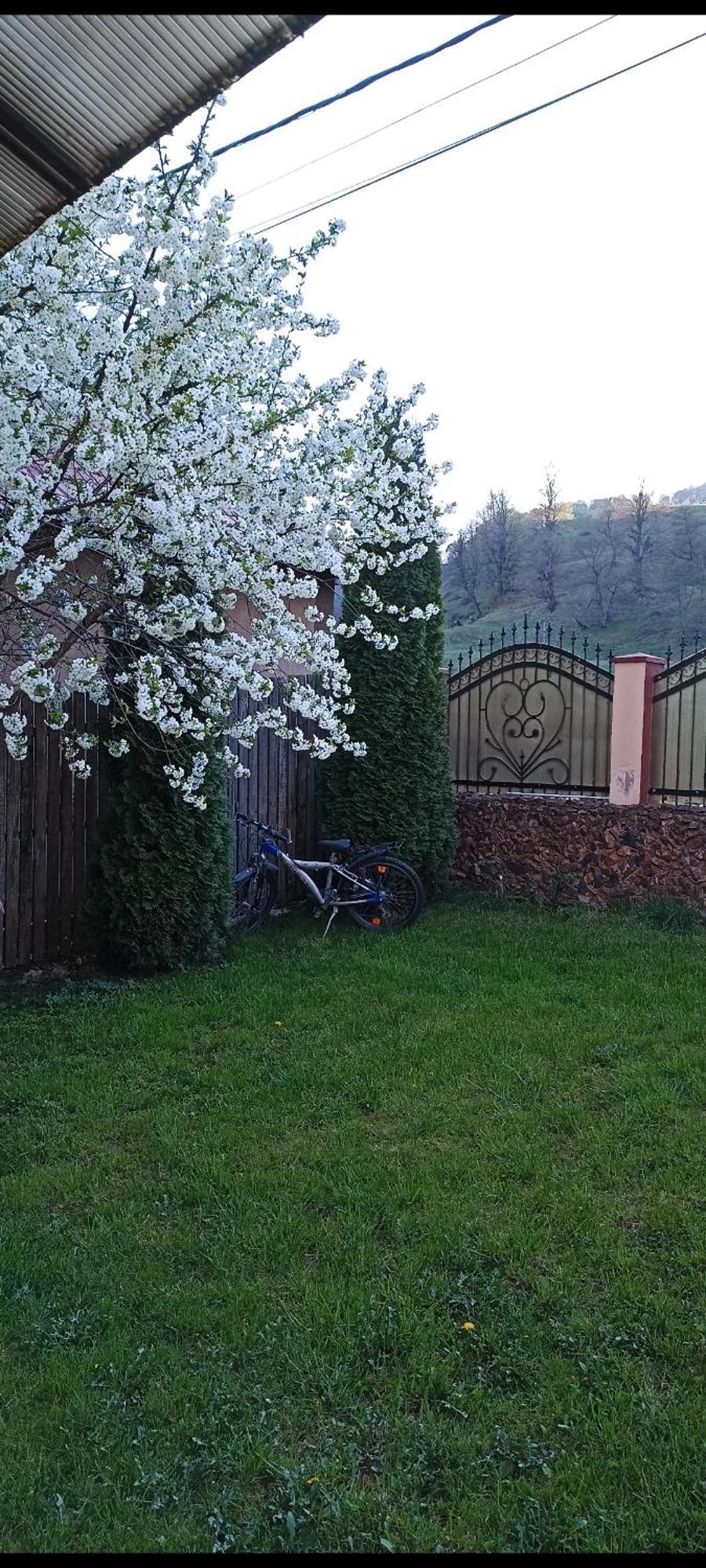 Popasul Drumețului Transfăgărășan Hotel Curtea de Argeş Exterior foto